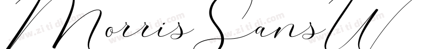 MorrisSansW01 Heavy字体转换